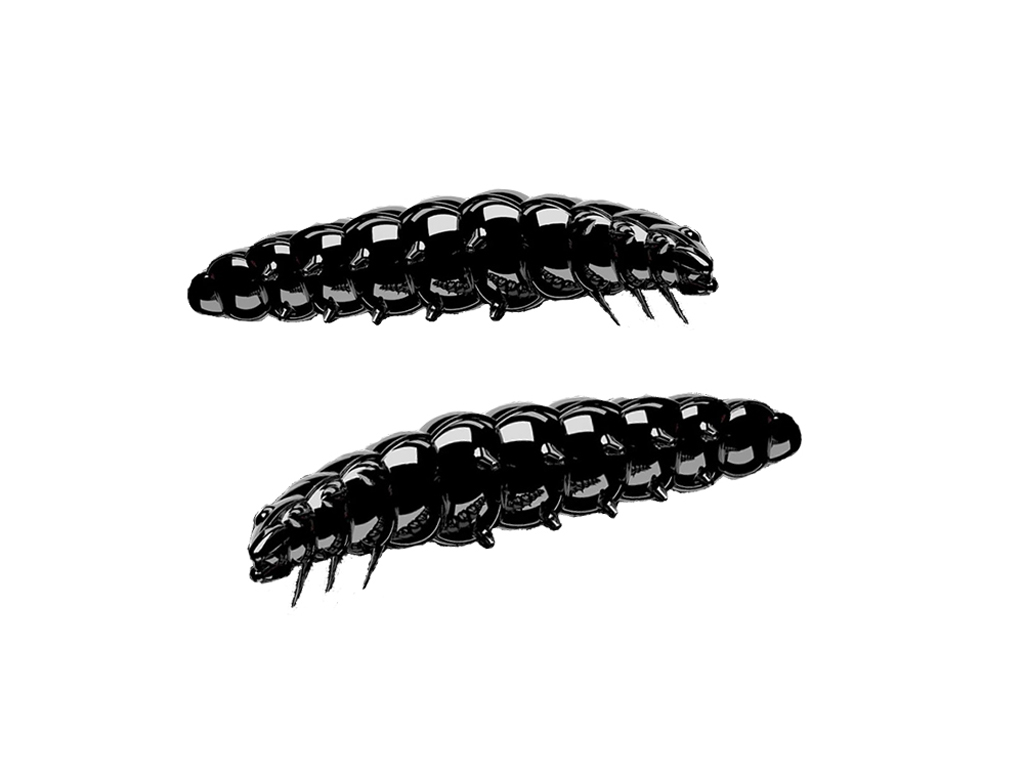 LIBRA LURES - CHEESE - Starterset Larve 1 - Forellenköder