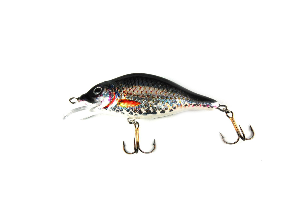 Hester Carp Floater Roach