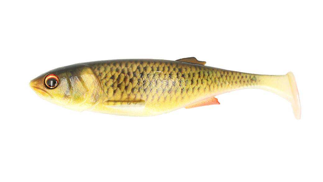 MAJOR CRAFT Stabi Shad 4 -  Live Roach