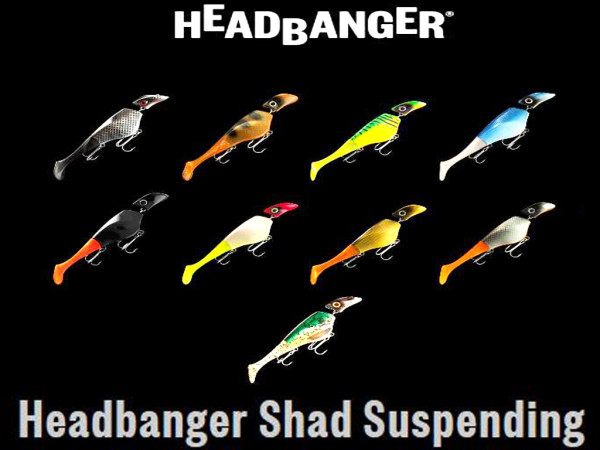 Headbanger Shad 16 cm suspending