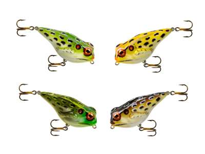 Topwater | Kder | Raubfischstore.de