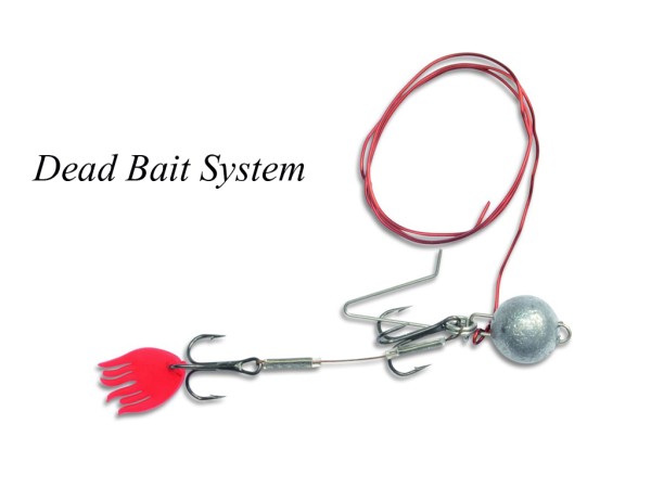 Quantum - Dead Bait System